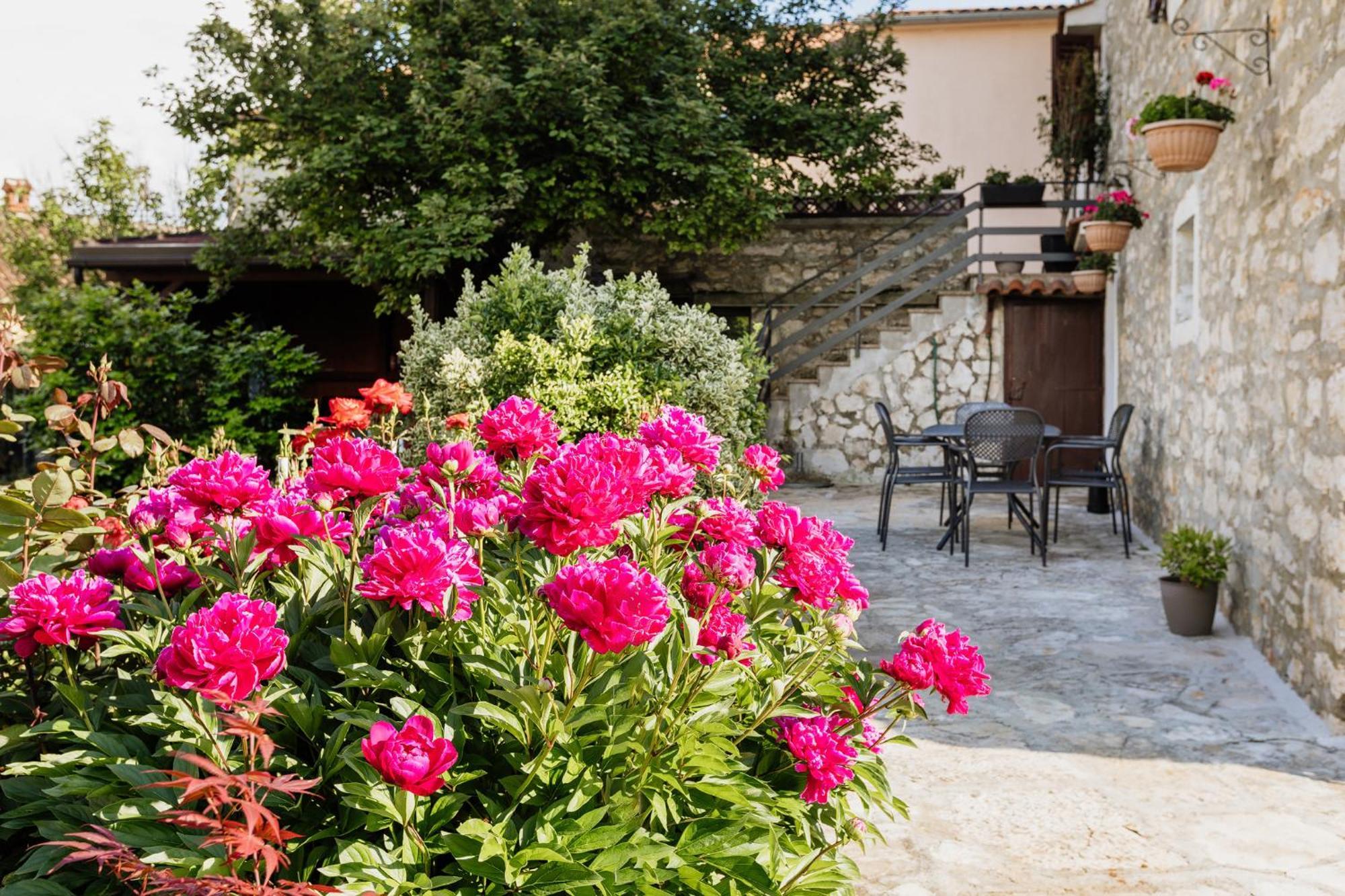 Apartments Mirna Stress Free Babici Екстер'єр фото